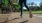 woman jogging in a park