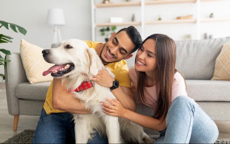 a man and woman holding a dog
